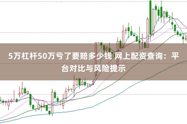 5万杠杆50万亏了要赔多少钱 网上配资查询：平台对比与风险提示