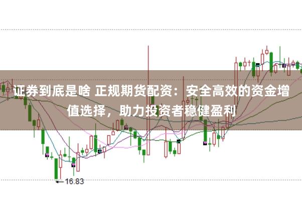 证券到底是啥 正规期货配资:安全高效的资金增值选择,助力投资者稳健盈利