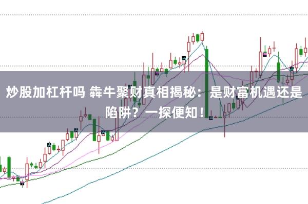 炒股加杠杆吗 犇牛聚财真相揭秘:是财富机遇还是陷阱?一探便知!